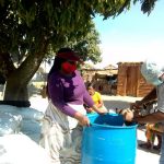 Spawn soaking for mushroom farming
