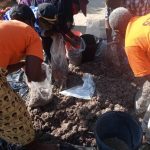 Mushroom farming project - Chitungwiza