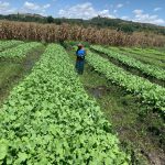 Field Inspection - Another Chance Project